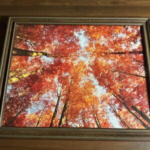 TALL TREES FALL THEME FRAMED GLASS WALL PORTRAIT